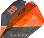 Vision Ultra Player Raymond van Barneveld G4 Std.6